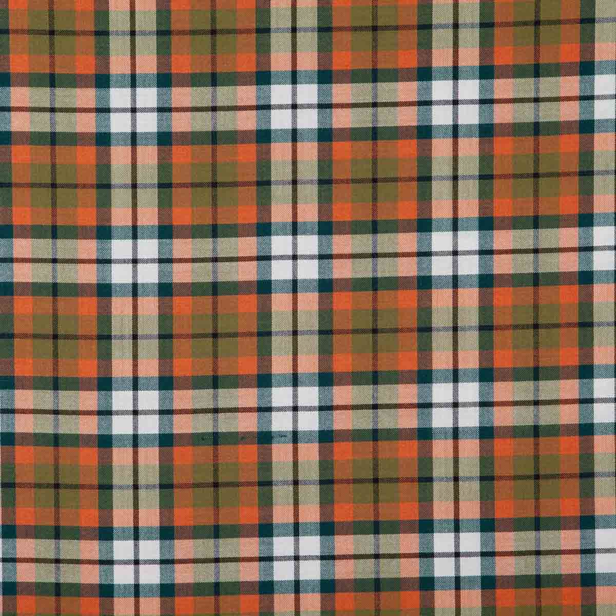 Carrots In The Fields