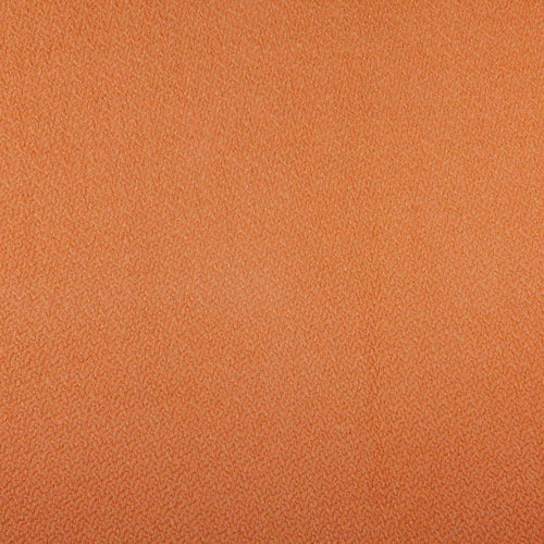 Candy Pastel Orange