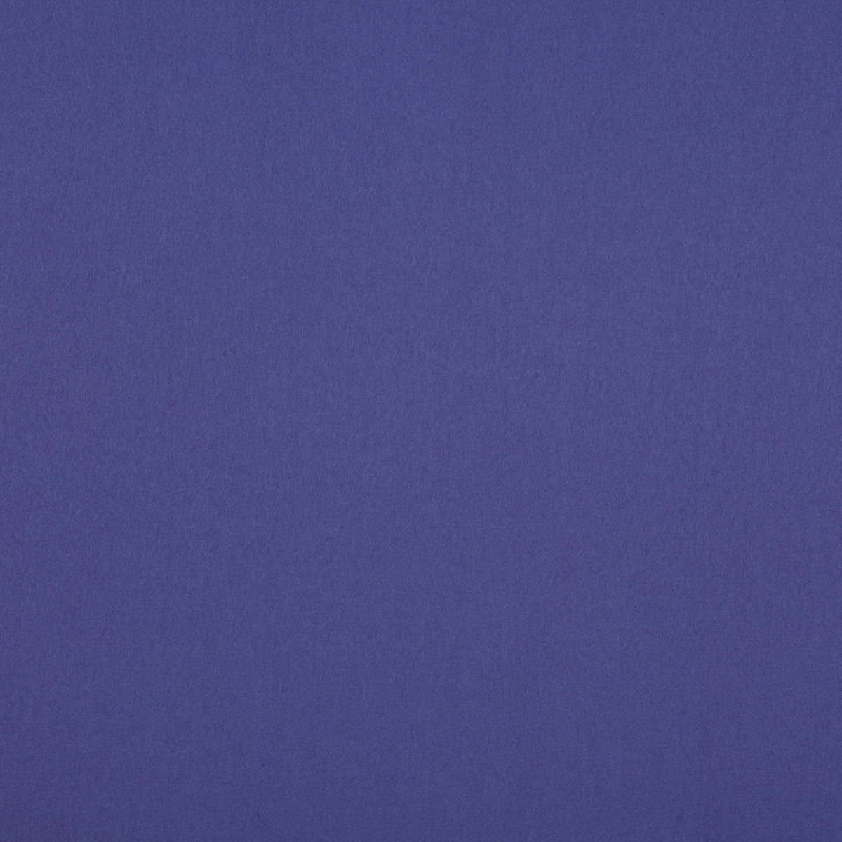 Lavender Dream