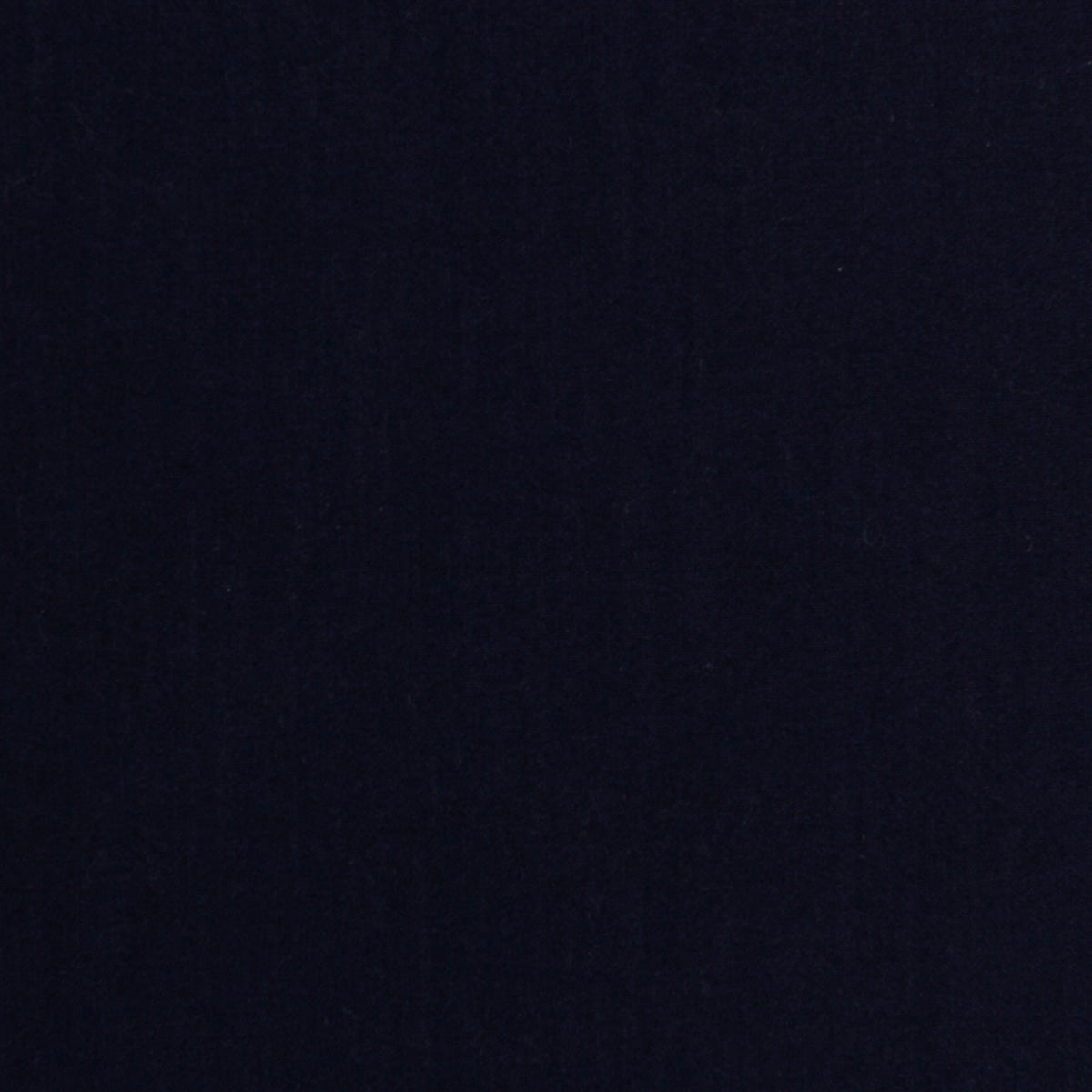 Safe In Dark Blue
