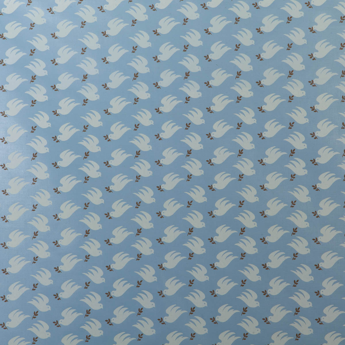 Peace Dove